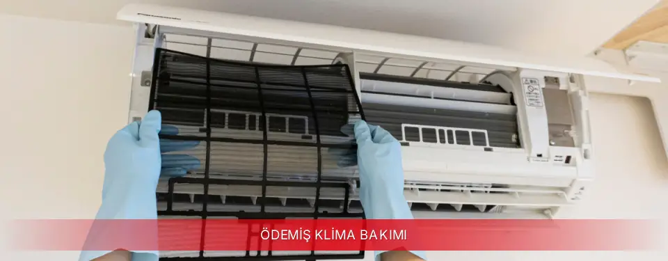 Ödemiş İlçemi Viessmann Klima Bakımı