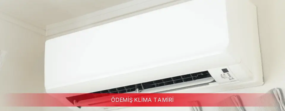 Ödemiş İlçemi Viessmann Klima Tamiri