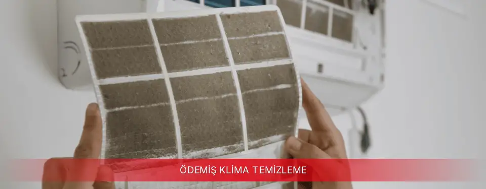 Ödemiş İlçemi Viessmann Klima Temizleme